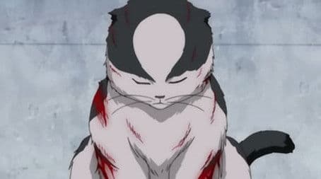 Kabukicho Stray Cat Blues