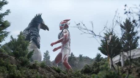 Beware of the Cold Wave