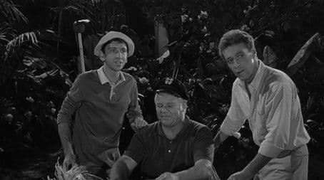 Goodnight Sweet Skipper