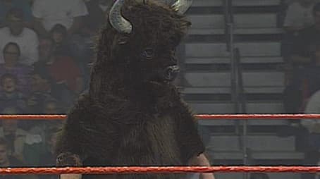 Superstars - Jan. 07, 1995