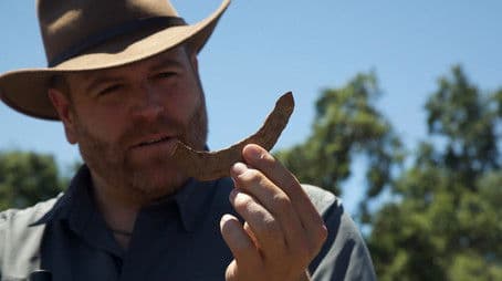 Donner Party Horror and Heroes