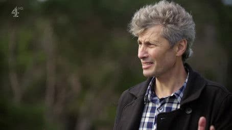 Helensville: Imitation Villa