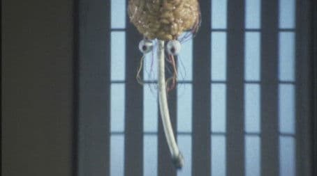 That Planet is a Map of Our Tomorrow!