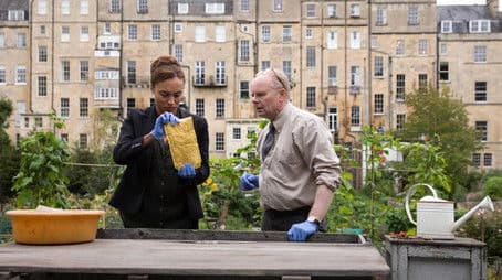 The Fall of the House of Crockett