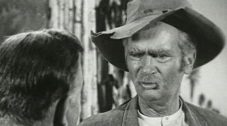 Granny's Spring Tonic