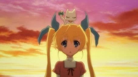 Where Cherry Blossoms Flutter