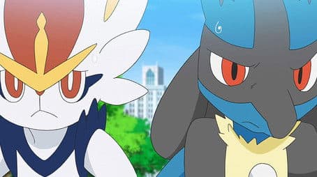 A Close Call... Practically!