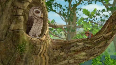 The Tale of the Grumpy Owl