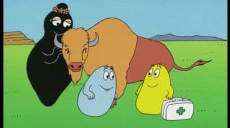 North America - Bison