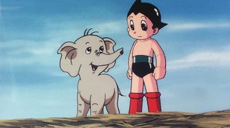 The Baby Elephant Pook