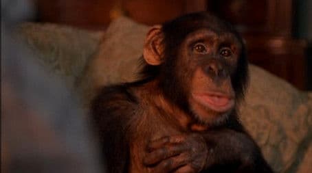 The Thanksgiving Story (2)