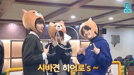 The 50th Episode Special