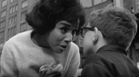 A Horse Has a Big Head -- Let Him Worry!