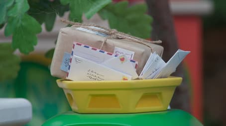 Post Pig Petunia Breaks Down