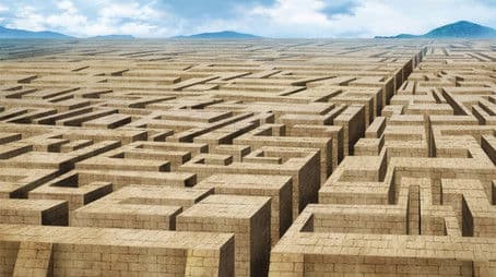 The Animals and the Girl