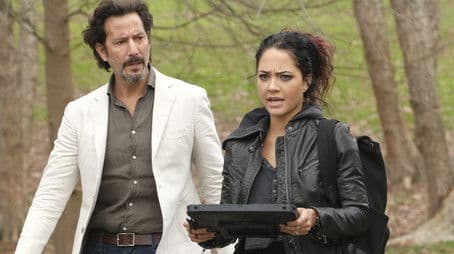 Golden Lancehead + Venom + Pole Vault + Blood + Baggage