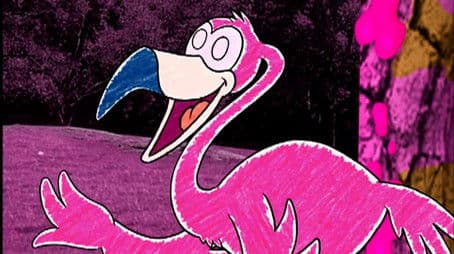 Pinky and the Pink Phenomenon