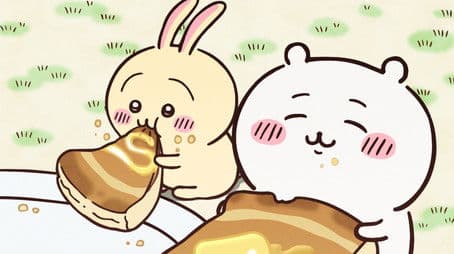 Firm Custard Pudding / Pancakes