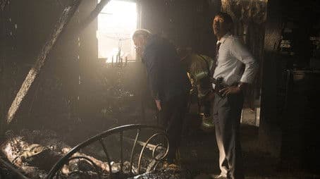 Ice Cream, You Scream, We All Scream