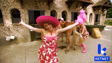 Meer paardenkont asjeblieft