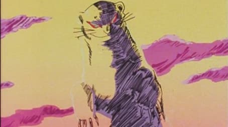 I Saw a White Weasel!