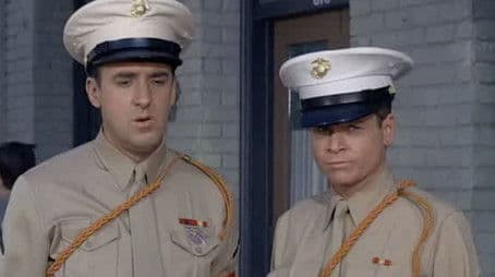 Gomer, the Perfect MP