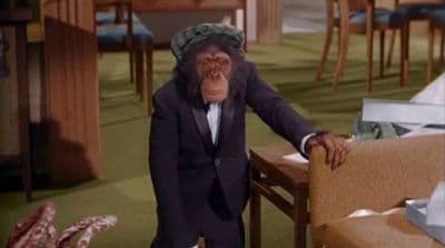 Alias Darrin Stephens