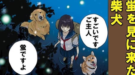 Not Too Close and Not Too Far / Firefly Light, Part 1 / Firefly Light, Part 2