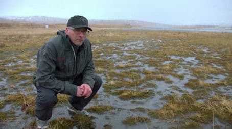 The Pirate’s Gambit