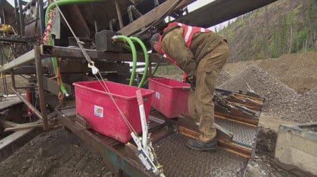 No Deaths, No Worries