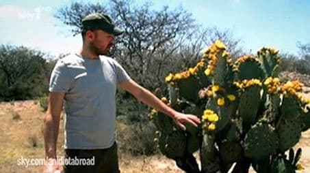 Unseen Karl - Mexico