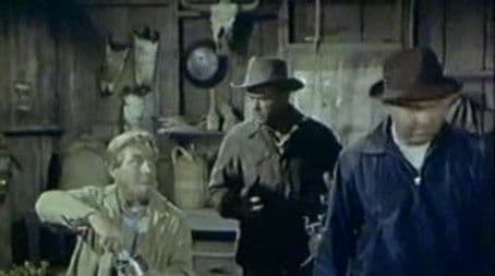 Stranger in the Desert