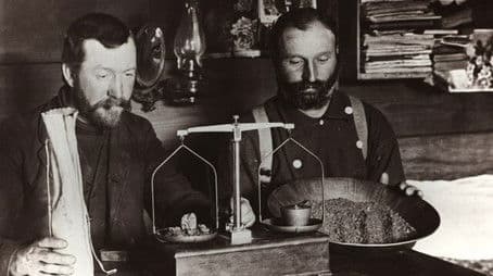 The United States of Gold