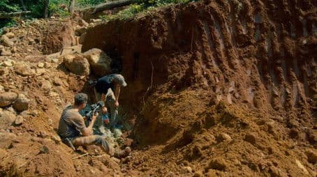 The Jungle Strikes Back