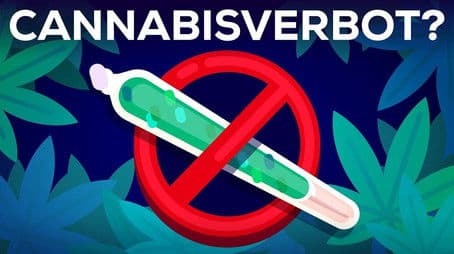 3 Arguments Why Marijuana Should Stay Illegal Reviewed