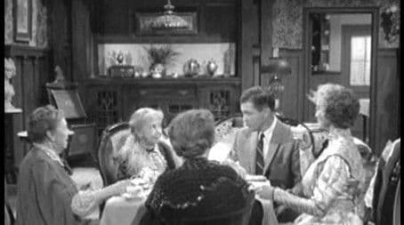 Bull in a China Shop