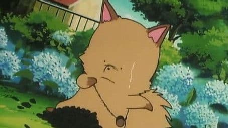 Return of the Pure-Hearted Fox! I Love Shinobu!