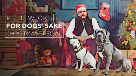 Pete Wicks: For Dogs' Sake Christmas Special 2025