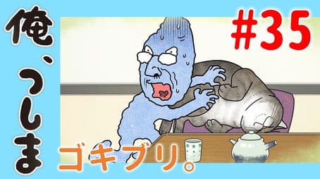 WEB Animation - #35 A cockroach