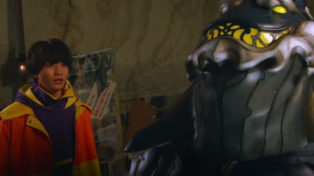 Transformation Is Bitter Chocolate