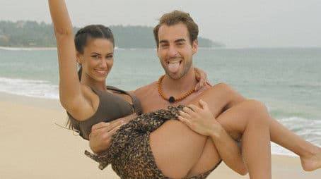 New Cocks in the Farmyard