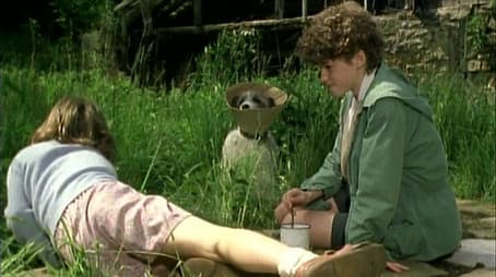 Five on a Secret Trail