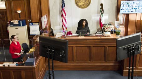 The Perils of the Plea (1)