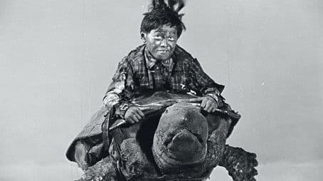 Grow Up! Little Turtle