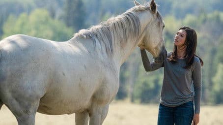 All Hearts Lead Home