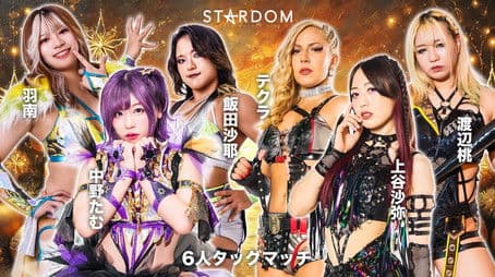 Stardom in Nagoya 2024 Dec.