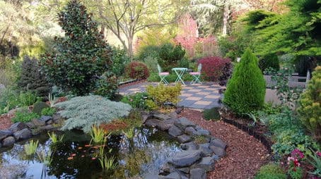 Episode 11 Resourceful Renters, Weeds in Pavers & Autumn Jobs