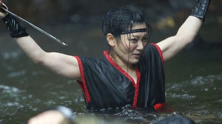 In Search of the Kunoichi, the Female Ninja