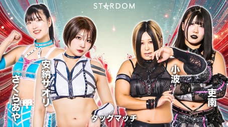 Stardom Golden Week Fight Tour 2025 in Fukuyama