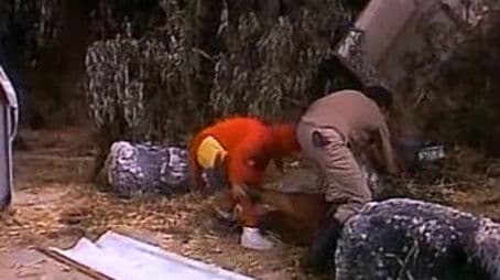 El misterio del abominable hombre de las nieves